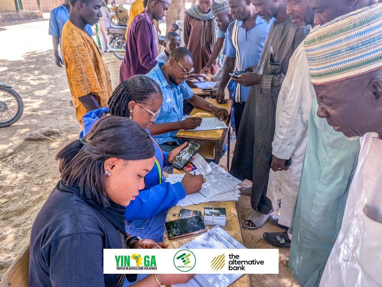 Jigawa Improved Seeds — Photo 43